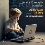 Junior Computer Operator at Transport and Masstransit Department, Lahore