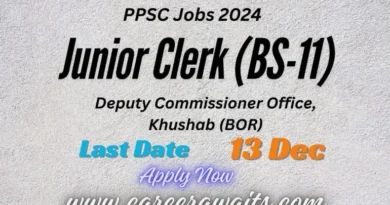 Junior Clerk (BS-11) job at Deputy Commissioner Office, Khushab - Apply Now